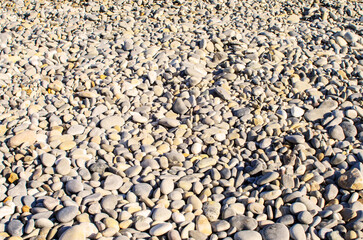 Full frame close up of numerous natural smooth pebbles covering a sunlit beach surface.
