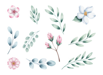 Watercolor illustration set of flowers and leaves in soft pastel colors, pink cherry blossoms, and magnolia flowers eucalyptus leaves 