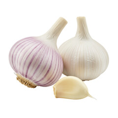 Two fresh whole garlic bulbs, one with delicate purple stripes, and a single peeled creamy clove, arranged on a pristine transparent isolated background with soft diffused lighting and no shadows,