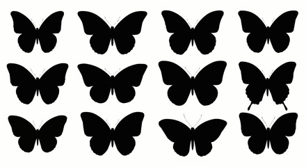 Butterfly Silhouettes Vector Set in Black on White Background