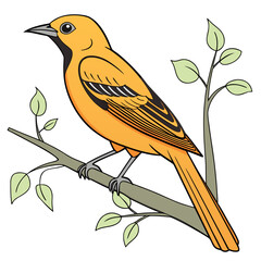 Vibrant orange oriole perched on a branch with delicate green leaves