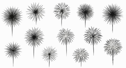 Fireworks Silhouettes Vector Set on White Background