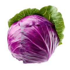 Obraz premium Fresh Purple Cabbage with Green Leaves, png element with transparency