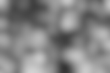 Abstract Background with Soft Blurs in Grayscale Tones, Creating a Dreamlike Ambience and Subtle