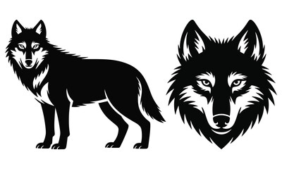 wolf vector illustration