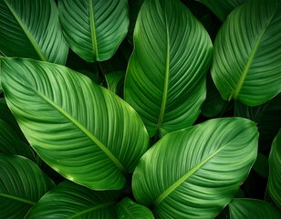 Lush green leaves close-up