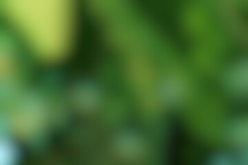 Ethereal essence of a woodland, where light and shadow interplay creating a tranquil ambience SPOK