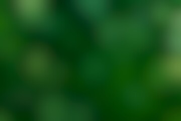Ethereal Forest Canopy Greenery Emerald Depths Nature's Tapestry Abstract Background