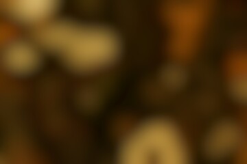 Golden Hues Abstract Blend of Light and Shadow Creating a Dreamy Ambiance