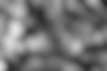 Monochrome Blur Abstract with Soft Focus Bokeh Light and Shadow Background