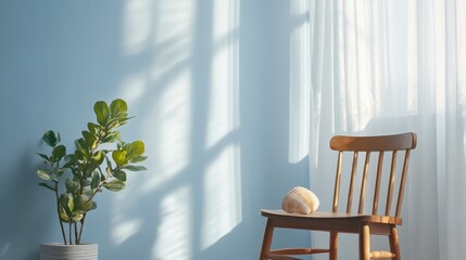Sunlit room interior with wooden chair, plant, and shell.