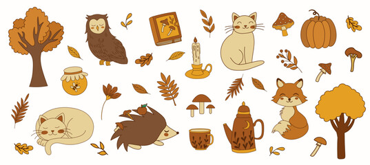 Autumn cozy  woodland set. Owl, cats, fox, hedgehog cute forest animals