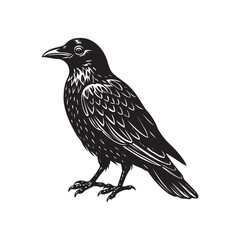 Fototapeta premium Crow bird vector illustration silhouette logo sticker design 