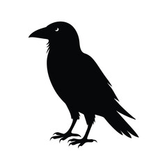 Fototapeta premium Black silhouette of a crow Vector illustration
