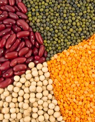 Close-up of various legumes