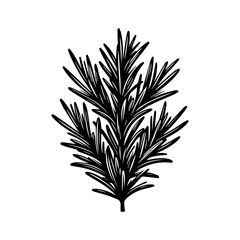 Black and White Rosemary Sprig Illustration.