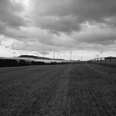 barbed wire fence