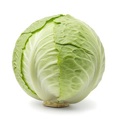 Fototapeta premium lettuce