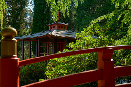 Chinese house among the trees