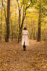 Rear view of a young woman riding a scooter through a tree-lined autumn park, surrounded by golden leaves