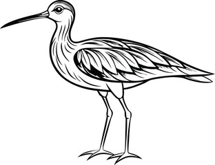 Curlew bird silhouette, shorebird line art, wading bird vector, minimal wildlife drawing, nature illustration design