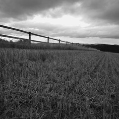 barbed wire fence