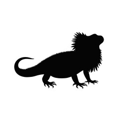 Obraz premium Silhouette of a bearded dragon with spiky frill looking up in a side profile on a white background