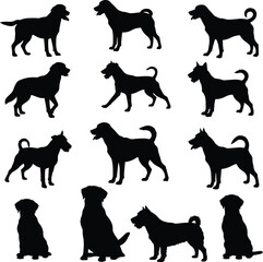 A vector illustration set of dog silhouettes, showing various breeds of canines and pets in standing, walking, and sitting poses.