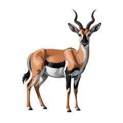 Stylized illustration of an antelope in a natural setting with detailed features and vibrant colors
