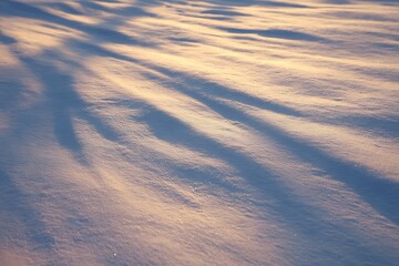 A serene winter landscape featuring a snow-covered field with soft shadows and warm sunlight creating a textured pattern.