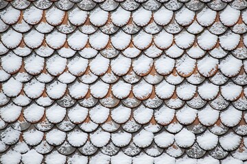 A detailed close-up of a roof covered in snow, showcasing the texture and pattern of the tiles in winter.