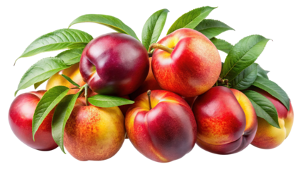 A vibrant cluster of fresh nectarines showcasing their rich red and yellow hues with lush green leaves against a black background