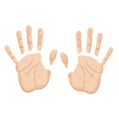Fototapeta premium Vector illustration of two handprints with fingers and folds.