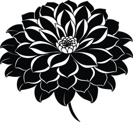 Zinnia flower silhouette, botanical line art, floral vector drawing, garden bloom illustration, minimal plant design