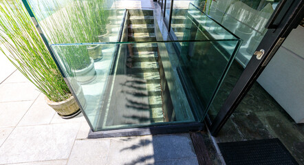A glass door with a black frame and a green plant in front of it
