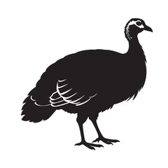 Black Silhouette of a Standing Turkey in Profile with White Accents on Tail Feathers and Neck