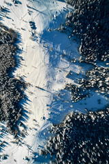 Aerial view top-down reveals snow-covered landscape with small cluster of buildings surrounded by dense pine forests. Long shadows of trees and structures create intricate patterns on pristine snow.