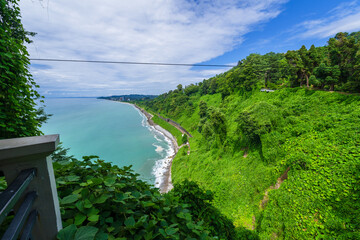 Scenic landscape on Black sea with green exotic trees and bushes in botanical garden, Batumi