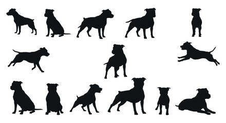 Staffordshire Bull Terrier dog silhouettes various poses isolated on a transparent background image