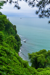 Scenic landscape on Black sea with green exotic trees and bushes in botanical garden, Batumi