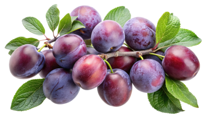 A cluster of ripe plums with vibrant green leaves on a dark background