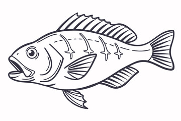 Line Art Drawing of a Fish, Seafood Illustration