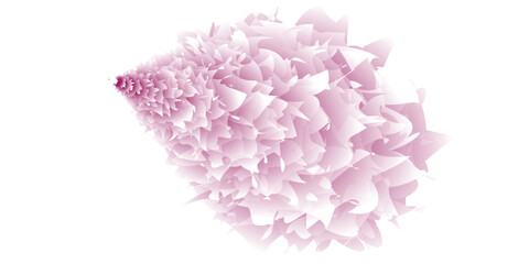 Pink carnations and peonies blossom in nature, their delicate petals forming a beautiful floral bouquet