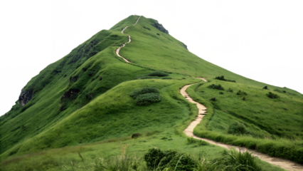 Explore scenic hiking trail on lush green mountain peak nature landscape photography adventure travel