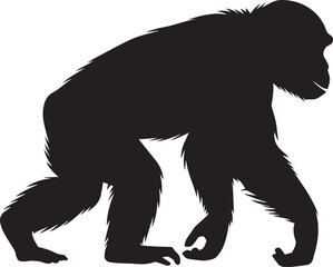 Silhouette of a chimpanzee walking on all fours primate animal