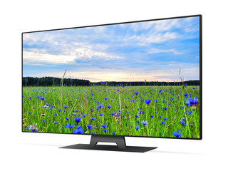 Smart tv with blue cornflowers field on screen
