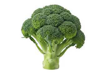 A fresh green broccoli floret stands tall isolated on transparent background