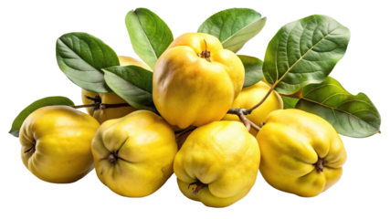 A cluster of ripe yellow quinces with green leaves showcasing their unique bumpy texture isolated on transparent background