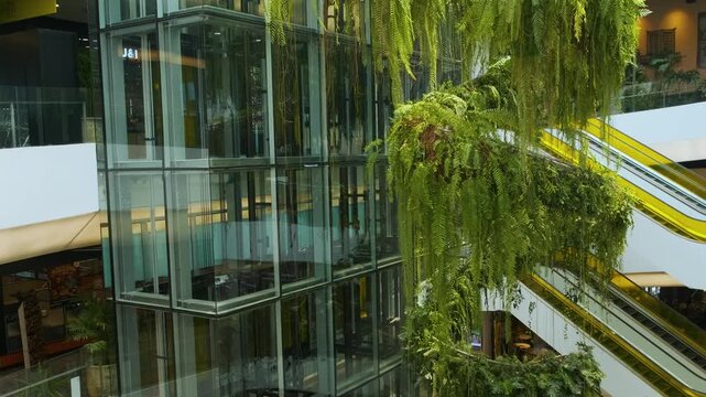 Hanging spiral garden with glass elevator and escalators inside glass atrium of modern shopping mall in Bangkok city, Thailand. Sustainable interior architecture. Biophilic architecture in retail