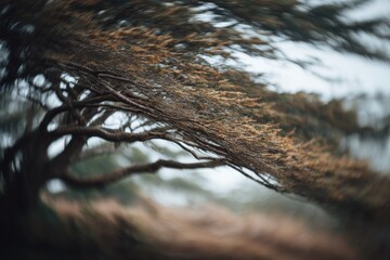 Windswept branches create dynamic, ethereal atmosphere in soft f